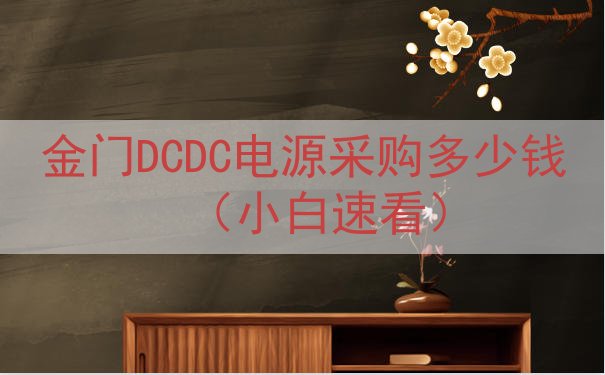 金门DCDC电源采购多少钱（小白速看）